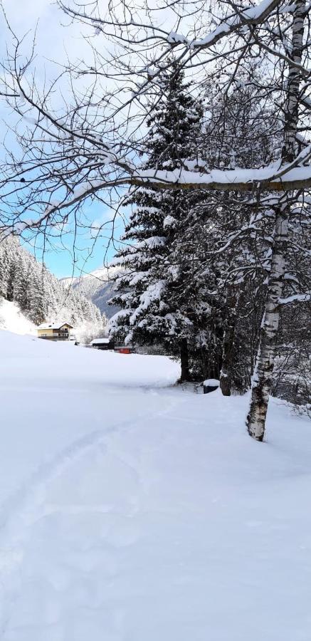 Apart Bergglueck Incl Sommerkarte See Εξωτερικό φωτογραφία