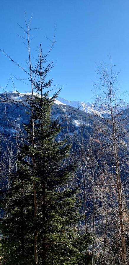 Apart Bergglueck Incl Sommerkarte See Εξωτερικό φωτογραφία